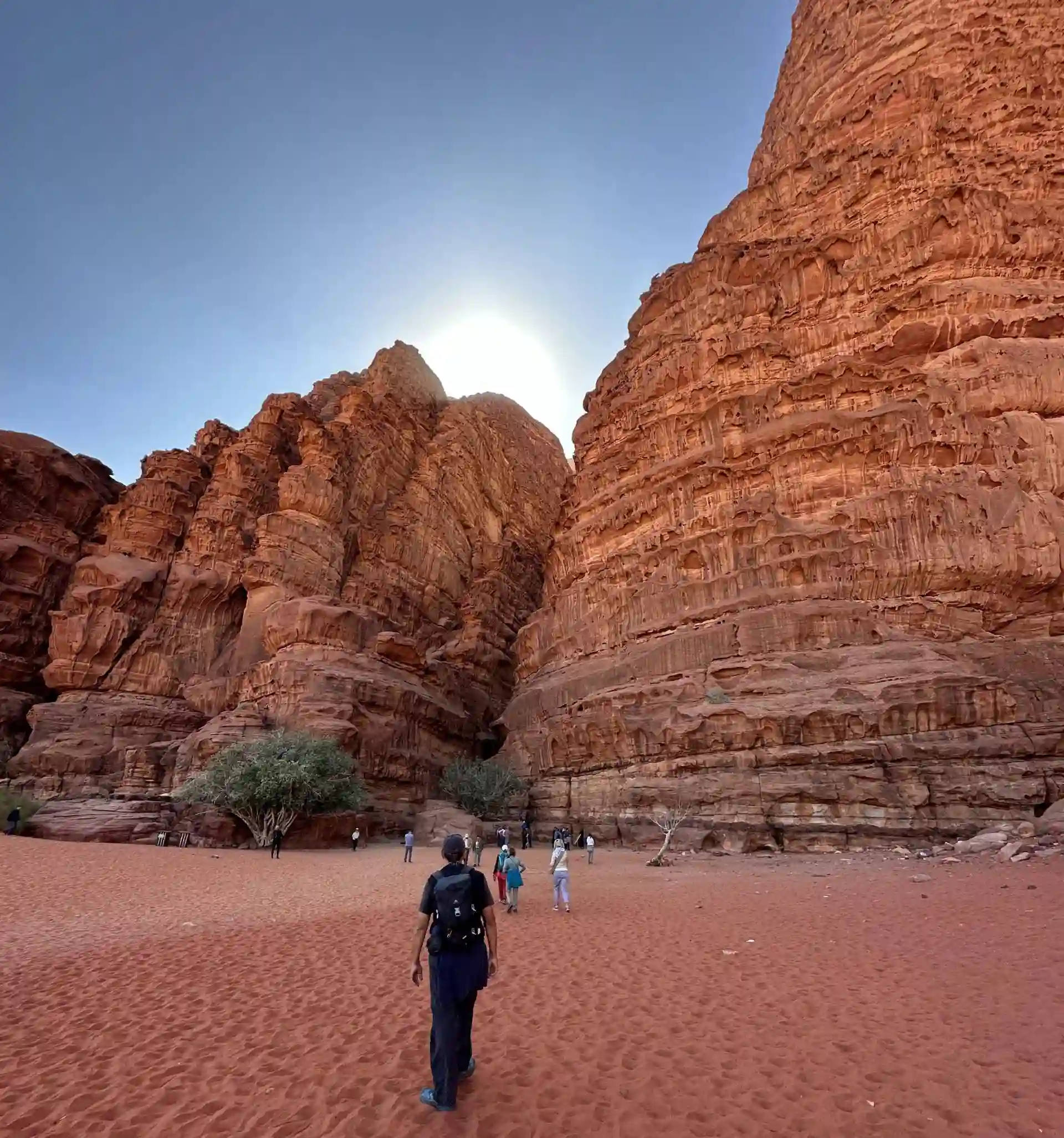 Red Sand Dune Landscape