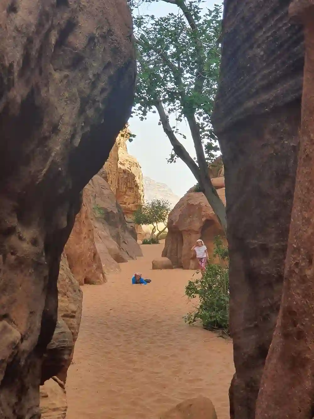 Hidden Beauty of Wadi Rum Canyons